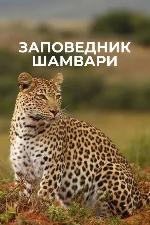 Заповедник Шамвари 1 сезон онлайн